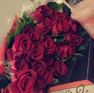 Meet your Posher, Bridgit